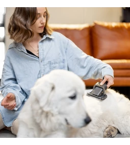 Egészség és gondozás