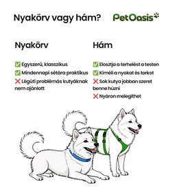 Hám vagy nyakörv