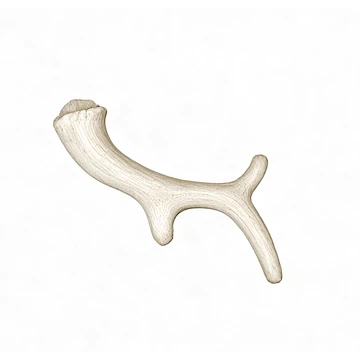 COMFY Játék ANTLER- Agancs Rágóka Kutyák Számára 18 Cm, Fehér
