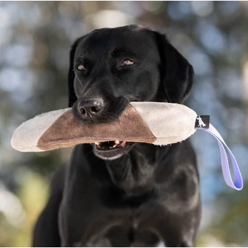 SPORTSK9 Mighty Lila