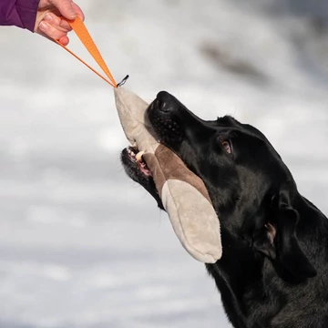 SPORTSK9 Mighty Narancssárga