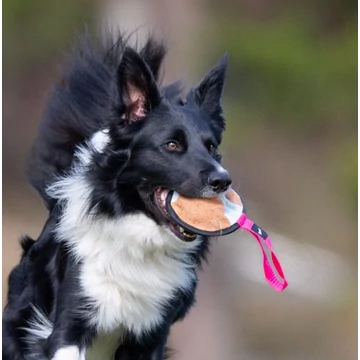 SPORTSK9 Sweetie XL Pink