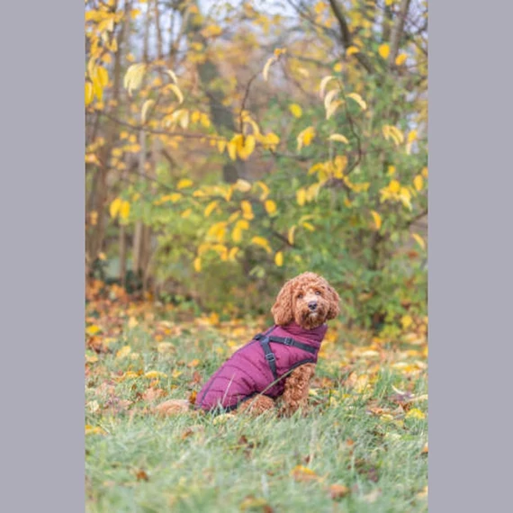 Trixie Pirou Téli Kabát Hámmal, Sangria, Több Méretben