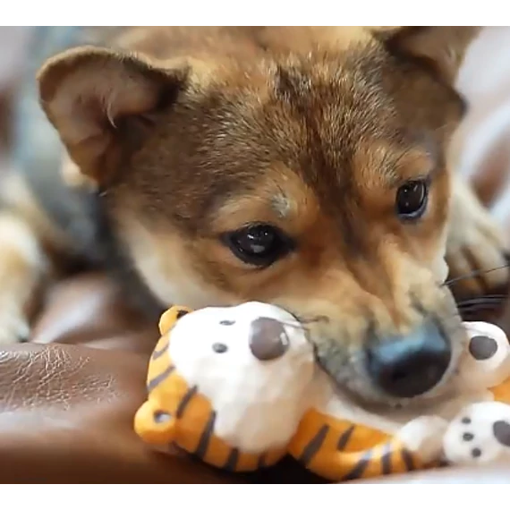 Sípoló Tigris Gumijáték