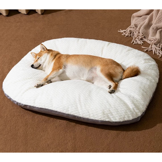 PetOasis Fluffy Fekhely