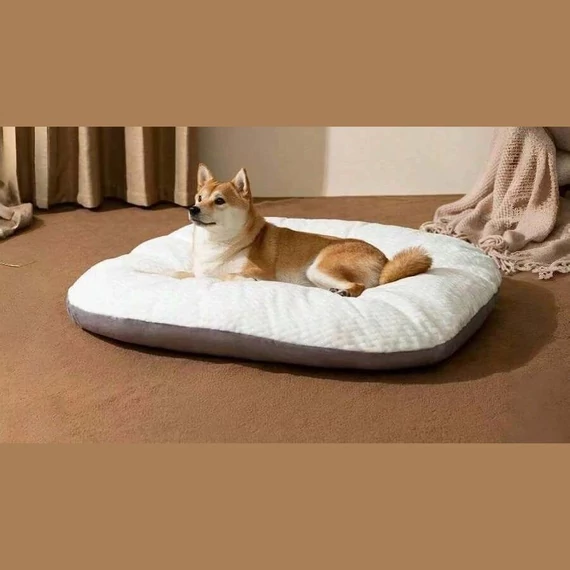 PetOasis Fluffy Fekhely L