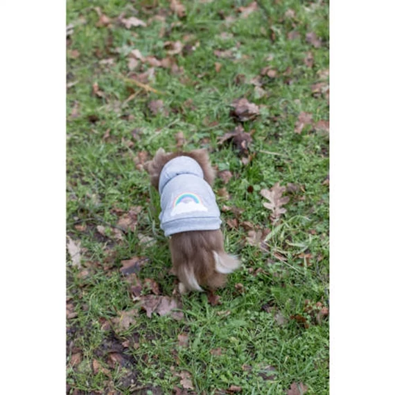 Trixie Rainbow Falls hoodie - kapucnis pulóver (szürke,mintás) kutyák részére 