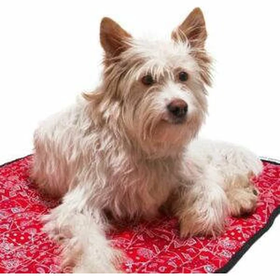 Aqua Coolkeeper Cooling Mat - Hűtőpléd (piros) XXL (90x80cm)