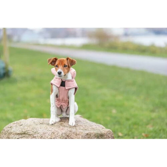 Trixie Lesmont téli kabát, S:36 cm, sárgabarack
