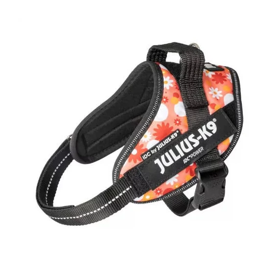 Julius-K9 IDC Powerhám, méret 1 Rózsaszín virágos