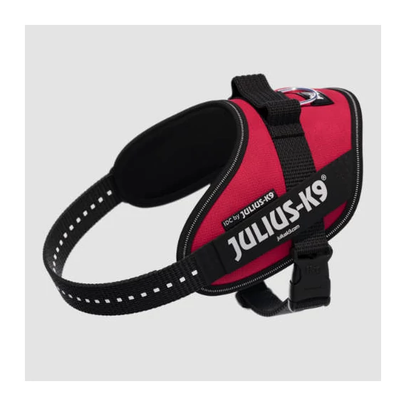 Julius-K9 Powerhám felirattal (Viva magenta), mini méret