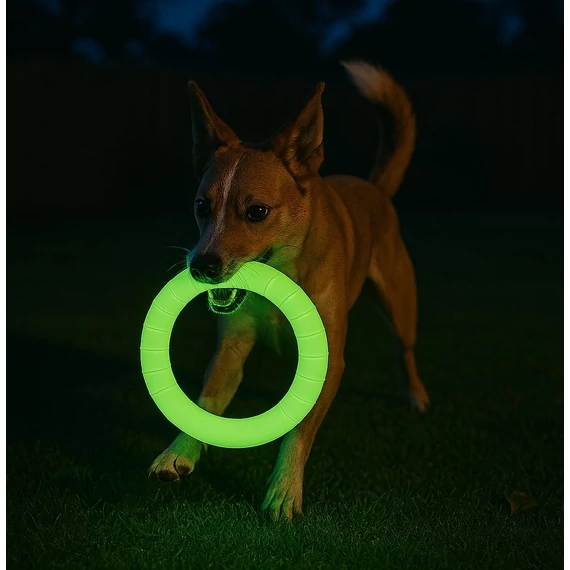 PetOasis Sötétben Foszforeszkáló Szivacs Karika
