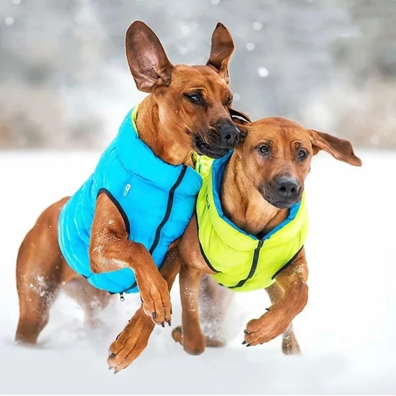 AiryVest Kutyaruha Kifordítható, Több Színben És Méretben