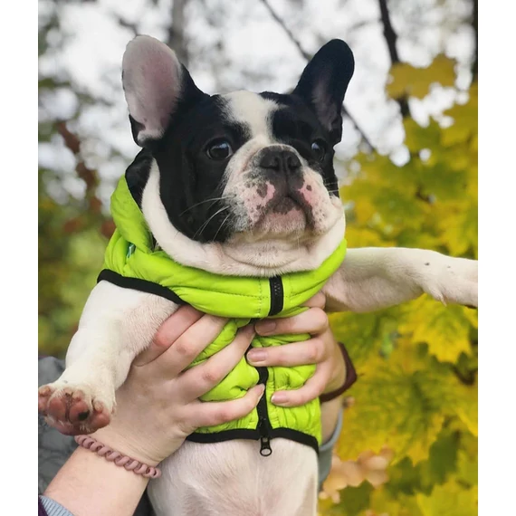 AiryVest Kutyaruha Kifordítható, Több Színben És Méretben