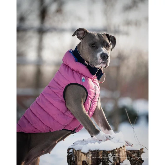 AiryVest Kutyaruha Kifordítható, Több Színben És Méretben