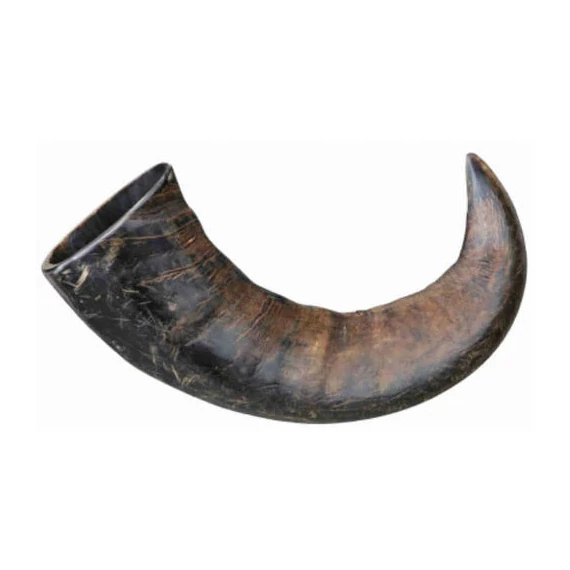 Trixie Buffalo Chewing Horn - Bivalyszarv