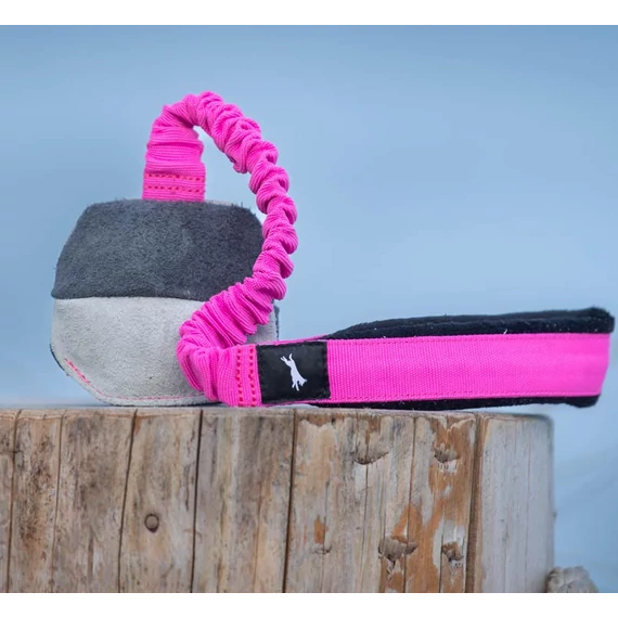 SPORTSK9 TeenyTiny labda gumis kötéllel Pink