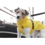 Trixie Dog raincoat Vimy - esőkabát (sárga) kutyák részére (S) 35cm