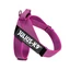 Julius K-9 Color&amp;Gray IDC Hevederhám 1-es méret (pink) 61-80cm