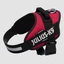 Julius K-9 IDC Powerhám Felirattal (1-es Méret, Viva Magenta) (23-30 Kg-ig)
