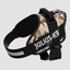 Julius K-9 IDC Powerhám felirattal (1-es méret, camouflage) kutyák részére (23-30 kg-ig)-ISK