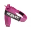 Julius K-9 Color&amp;Gray IDC Hevederhám 2-es méret (pink) 67-97cm