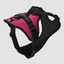 Julius-K9 Longwalk Light kutyahám nyomkövető táskával, hámfelírattal, sötét pink, M