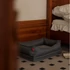 PetOasis lazy kutyaágy M