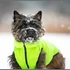 AiryVest kutyaruha kifordítható, S 30, zöld-fekete