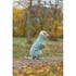 Trixie Dog raincoat Lunas - esőkabát (kék,ezüst) kutyák részére (M) 50cm